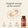 How Renew Urolithin A supports mitochondrial renewal and cellular energy